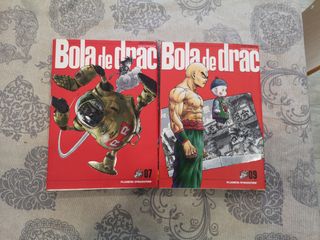 Llibres bola de drac!