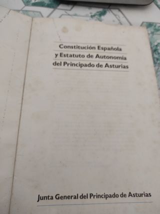 Constitución española y estatuto 1983