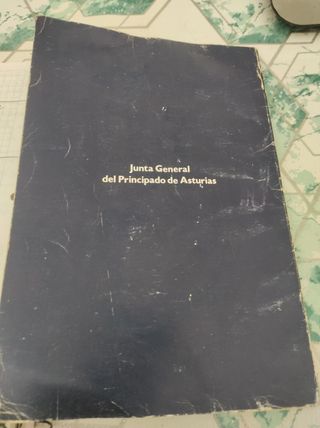 Constitución española y estatuto 1983