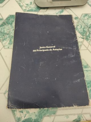 Constitución española y estatuto 1983