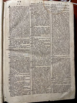 Vocabolario del 1600 latino-italiano