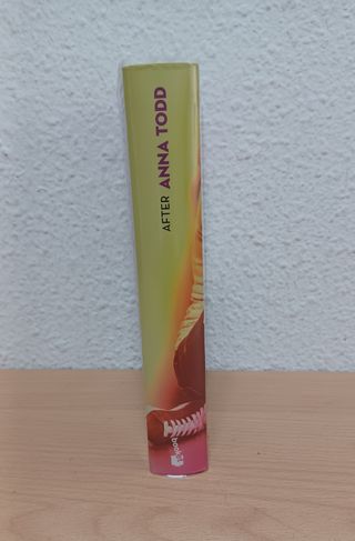 Libro 1 saga after ("Aquí empieza todo")