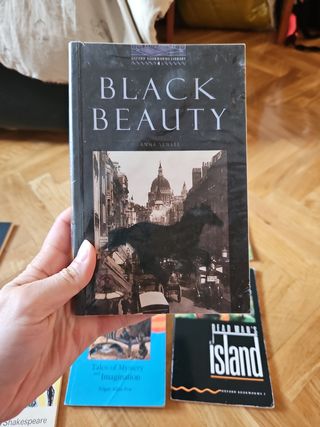 Libros de inglés