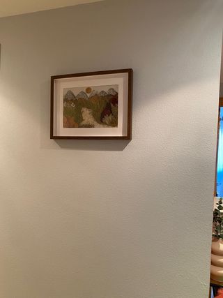 Manitas, pintura, albañileria