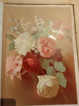 Quattro volumi I fiori 1892 Chelazzi Ferraguti