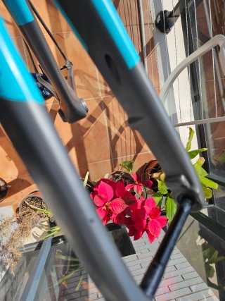 Cuadro Bicicleta FINNALE F-10 disk T-56 (LA)
