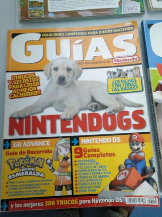 Nintendo DS guias