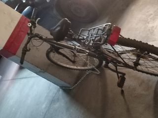 BICICLETA Paseo y Montaña 