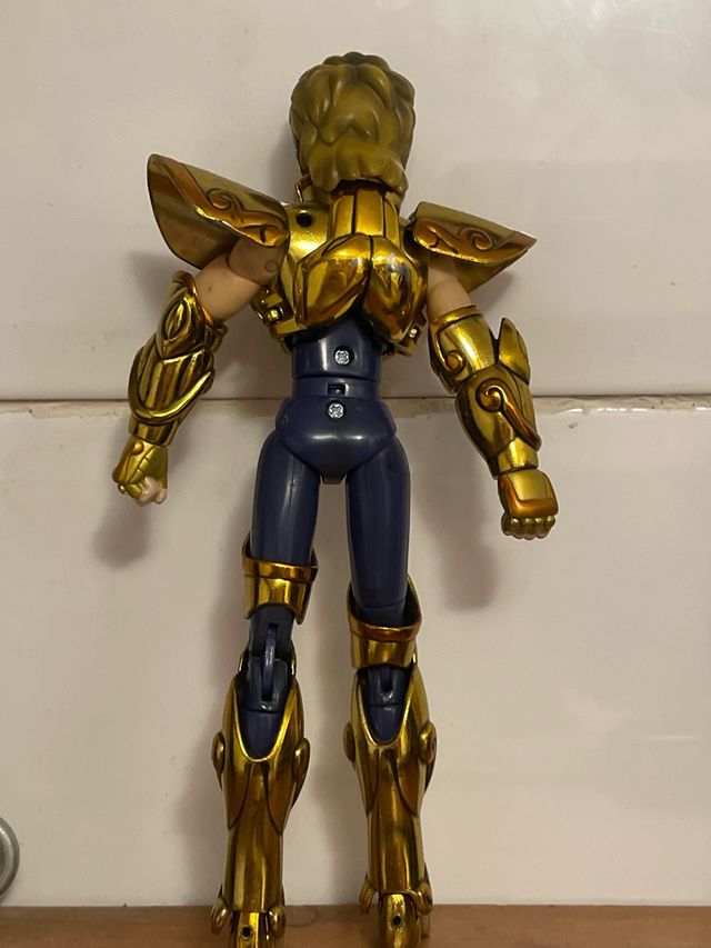 CAVALIERE DELLO ZODIACO