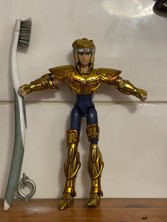 CAVALIERE DELLO ZODIACO