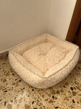 Cama gato