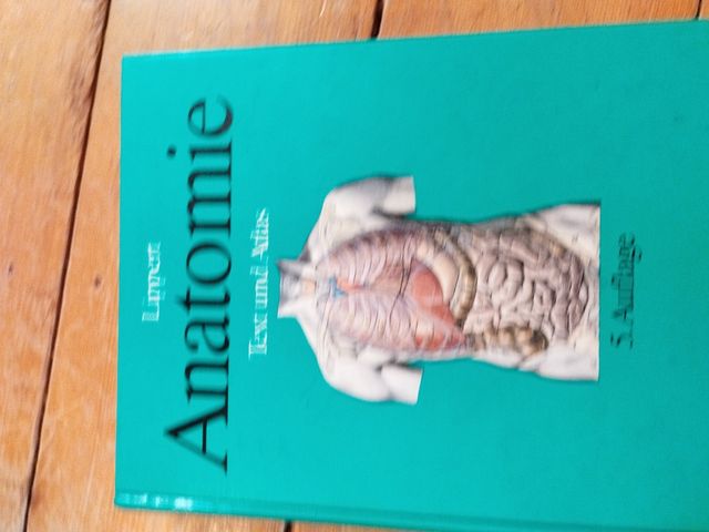 Lippert Anatomía en alemán