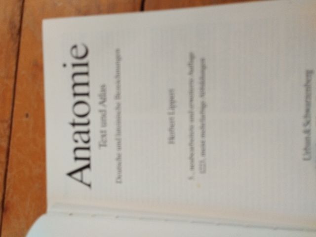 Lippert Anatomía en alemán