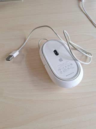 Raton apple 