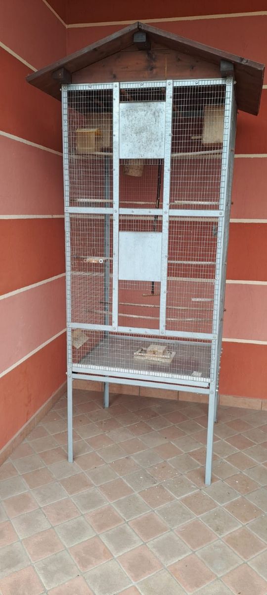 Gabbia per uccelli
