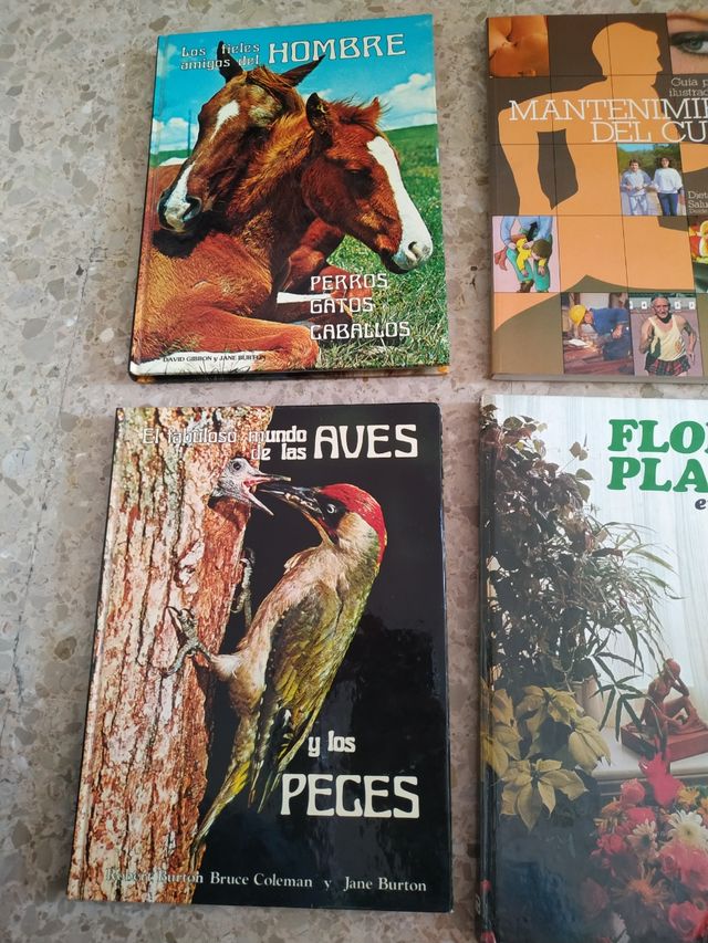 Libros variados diferentes precios.