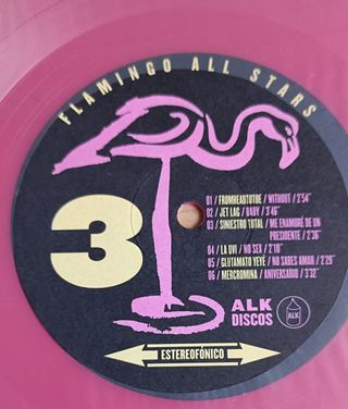 ALL STARS FLAMINGO-GARAJE ROCK-INDIE