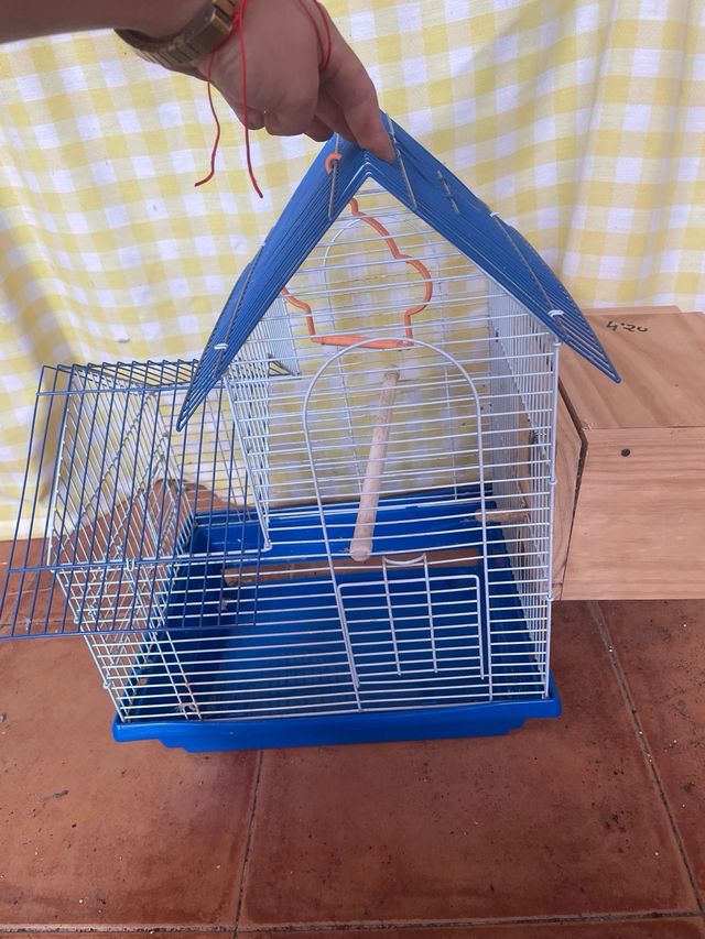 Jaula con casita de agaporni papillero