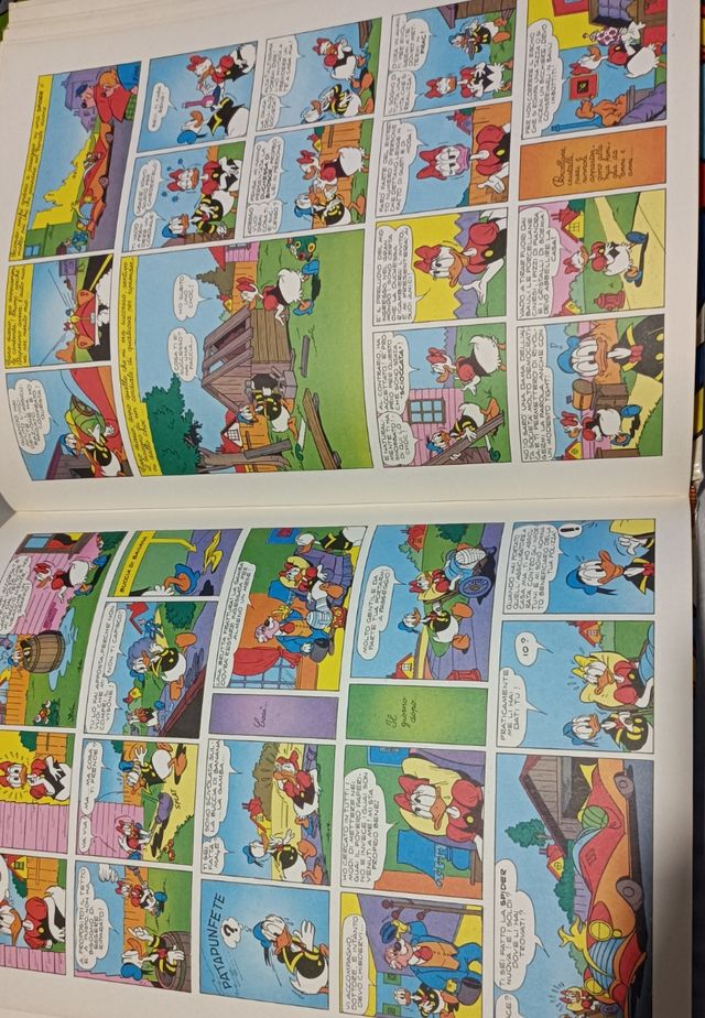 Libro da collez. Noi due Paperino e Paperina