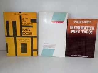LIBROS INFORMATICA ANTIGUOS VINTAGE