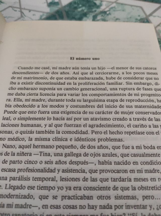 La matrona, Cuca Álvarez 1989