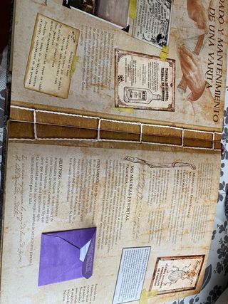 PRECIOSO LIBRO DE MAGIA