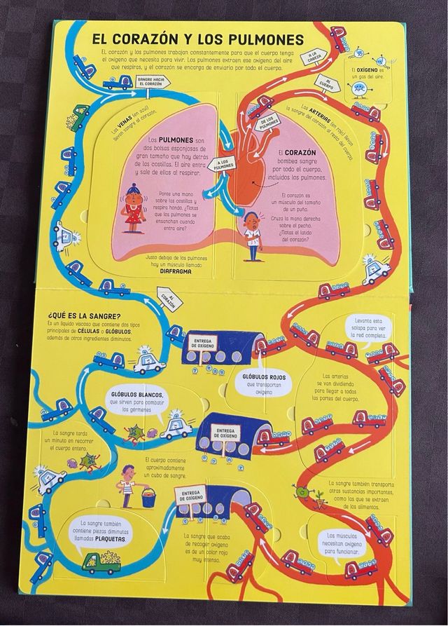 El cuerpo humano (271)