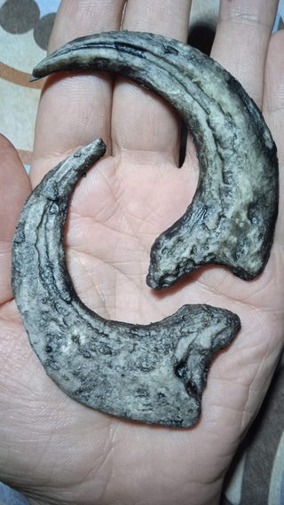 Garra de Velociraptor