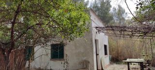 TERRENO AGRICOLA VENTA