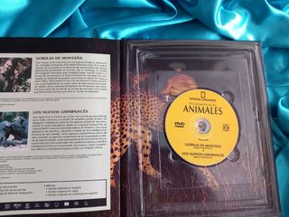 ENCICLOPEDIA DE LOS ANIMALES- MAMIFEROS II