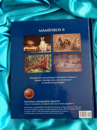 ENCICLOPEDIA DE LOS ANIMALES- MAMIFEROS II