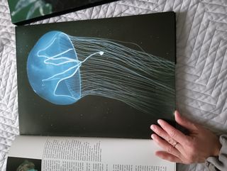 Animali preistorici del xx secolo