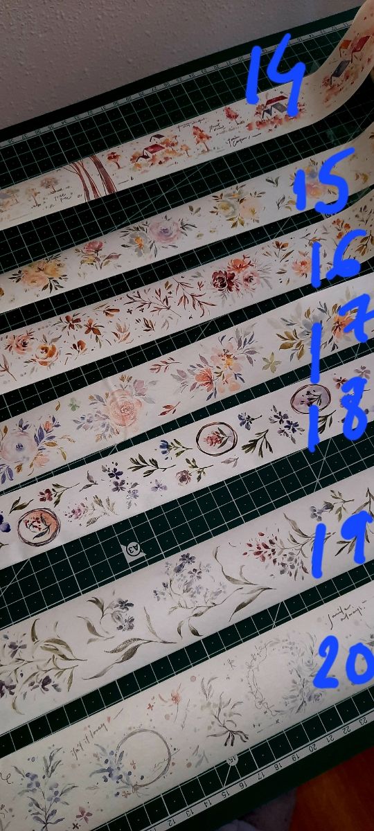 Bucles washi tape Meow Illustration