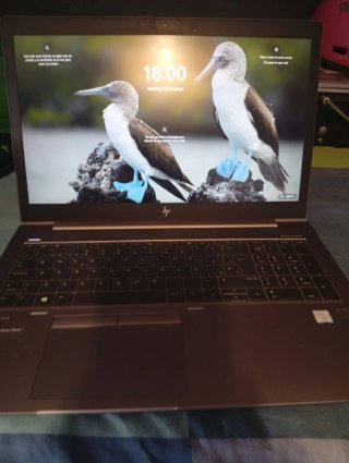 ZBOOK 15U G6/i7 8ª/32G/512 Nvme/4 gb GPU