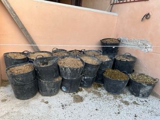 Estiercol de Caballo