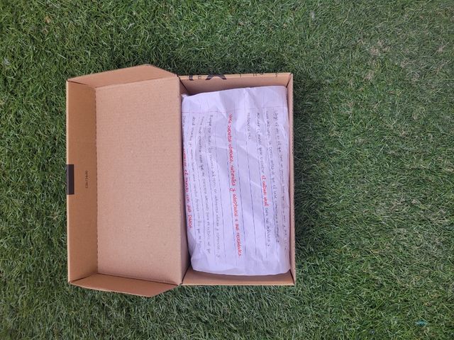 Javea Rocker zapato feroz 25