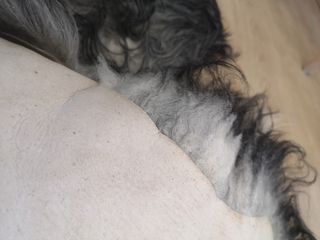 Alfombra de piel auténtica