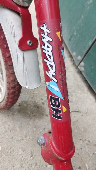 Bicicleta BH bici Cross vintage