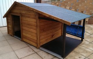 Caseta de perros
