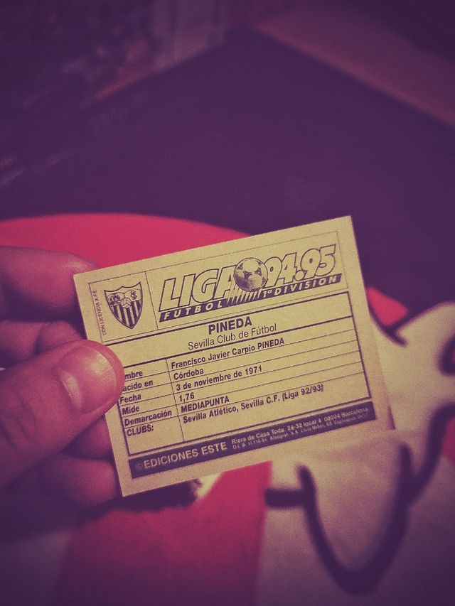 Cromos futbol liga 94 95 (+400)