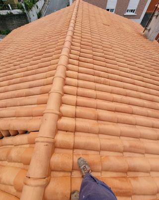 Tejados y Pinturas