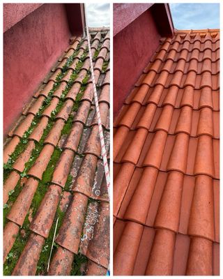 Tejados y Pinturas