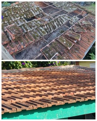 Tejados y Pinturas