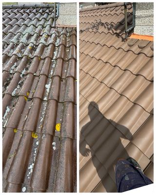 Tejados y Pinturas