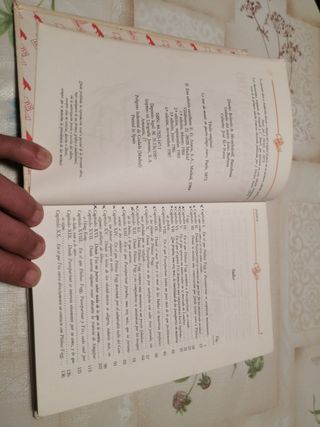 Jules Verne, la vuelta al mundo 80 dias