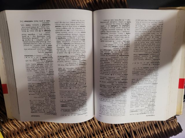 Diccionario Internacional Inglés Español Ingles