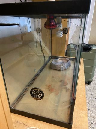 Terrario de reptiles