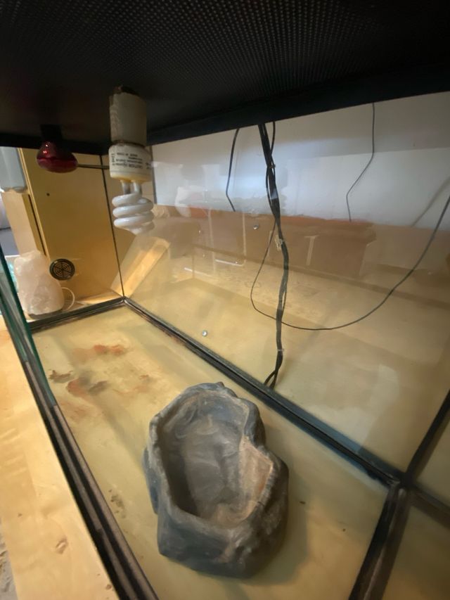 Terrario de reptiles