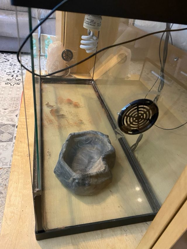 Terrario de reptiles