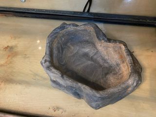 Terrario de reptiles